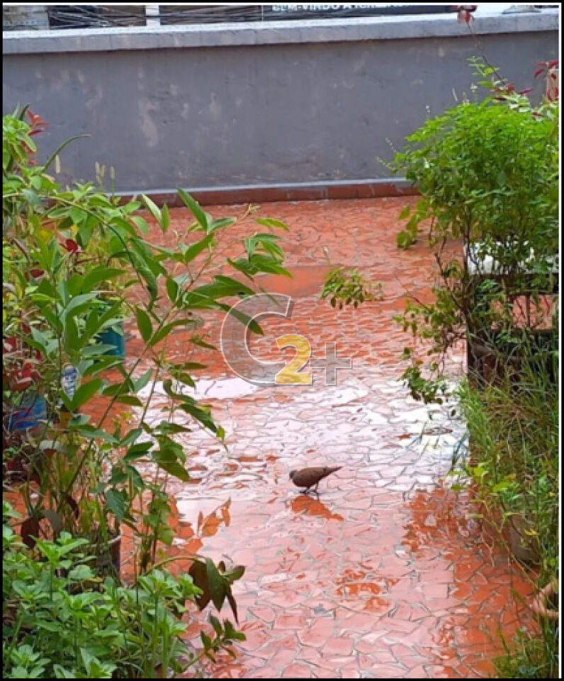 Foto 8 - CC57526