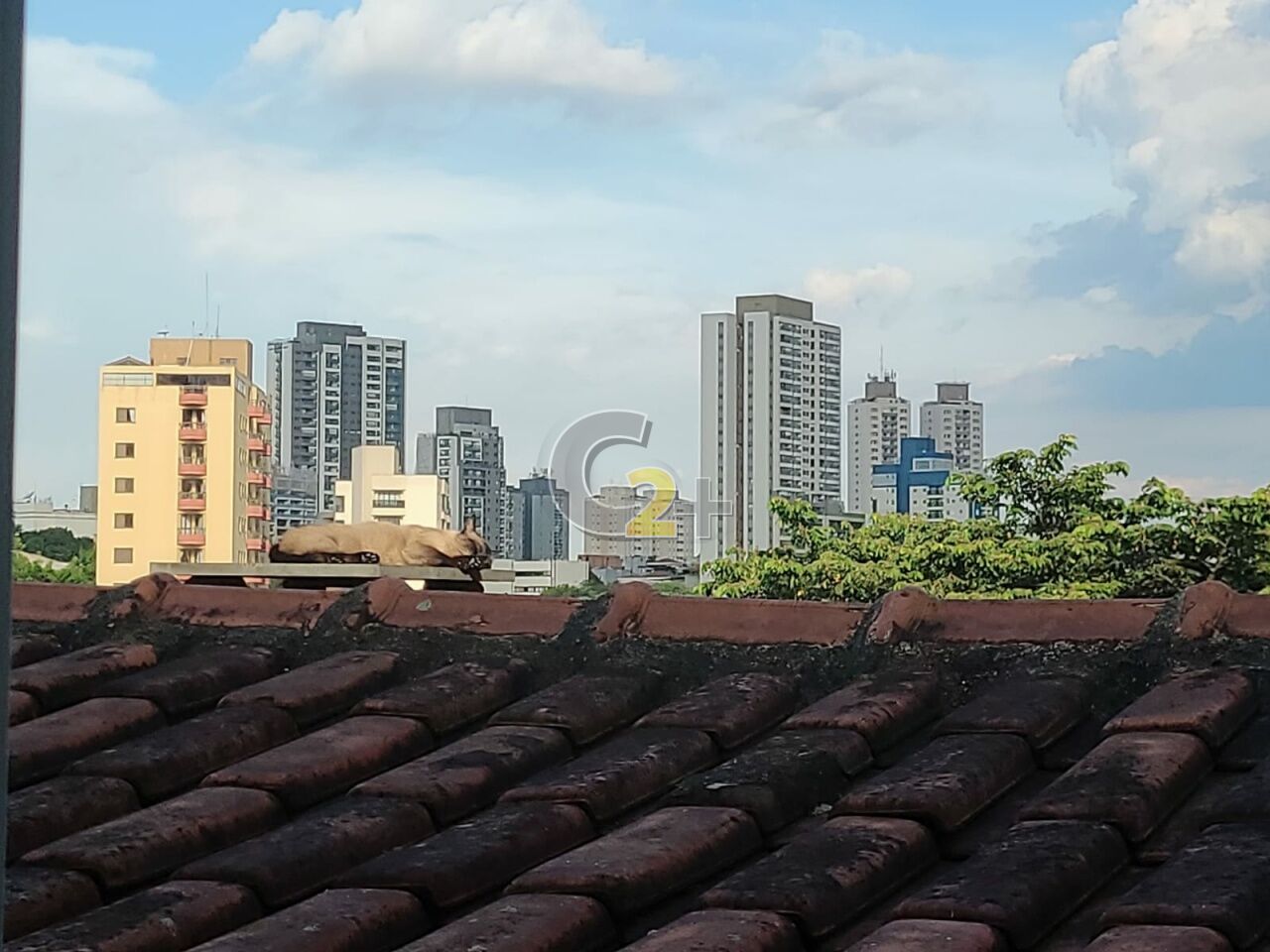 Foto 8 - CC57867