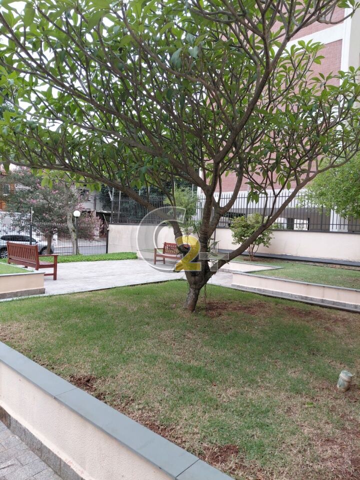 Foto 28 - CC60431