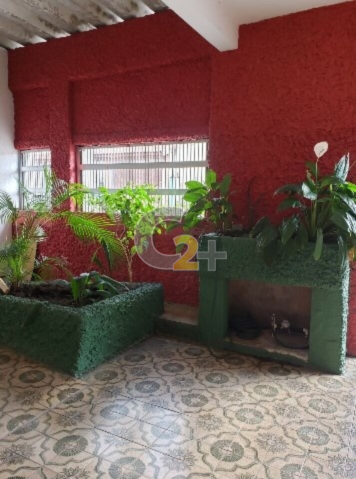 Foto 3 - CC61742