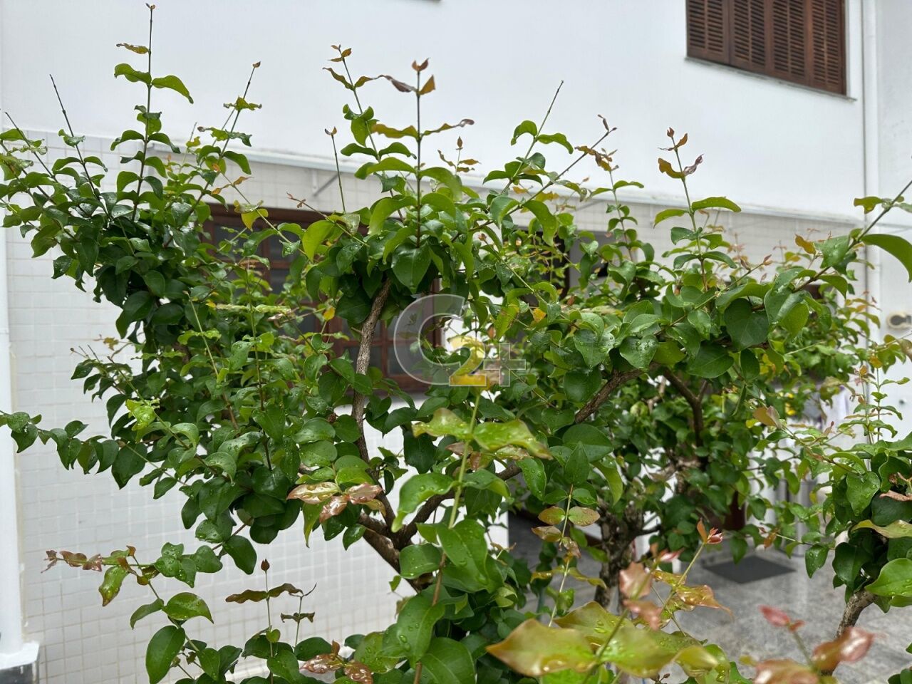 Foto 3 - CC62205