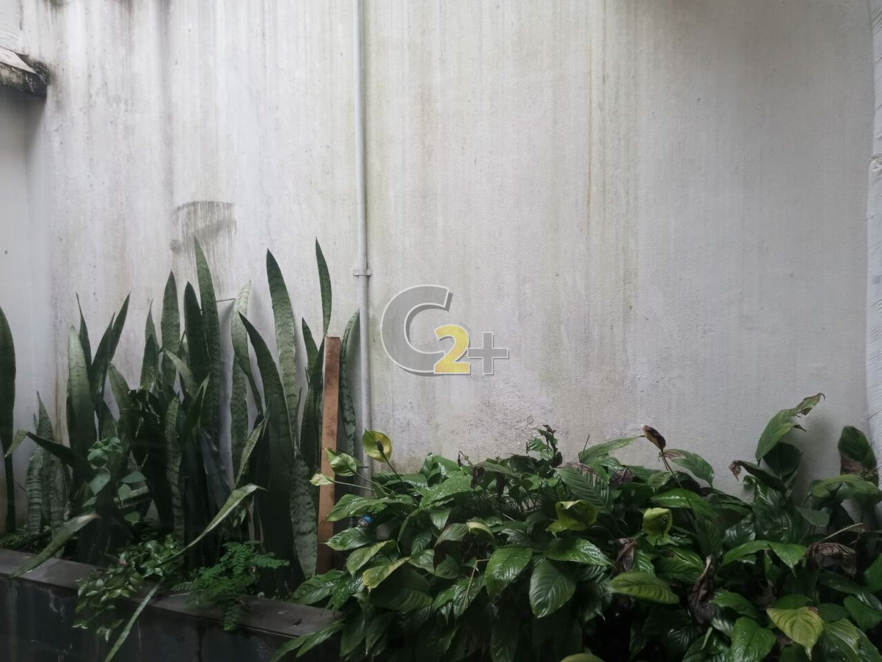 Foto 11 - CC62329