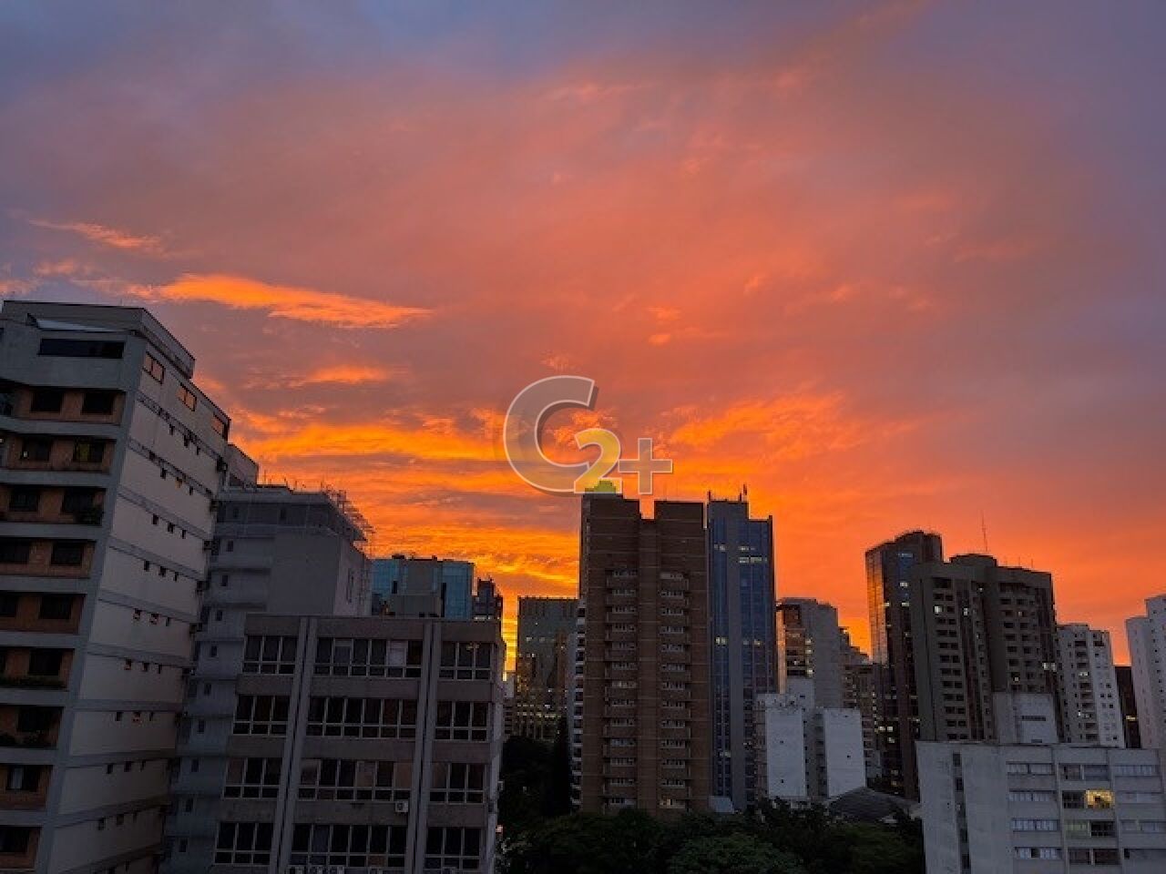 Foto 33 - CC63566