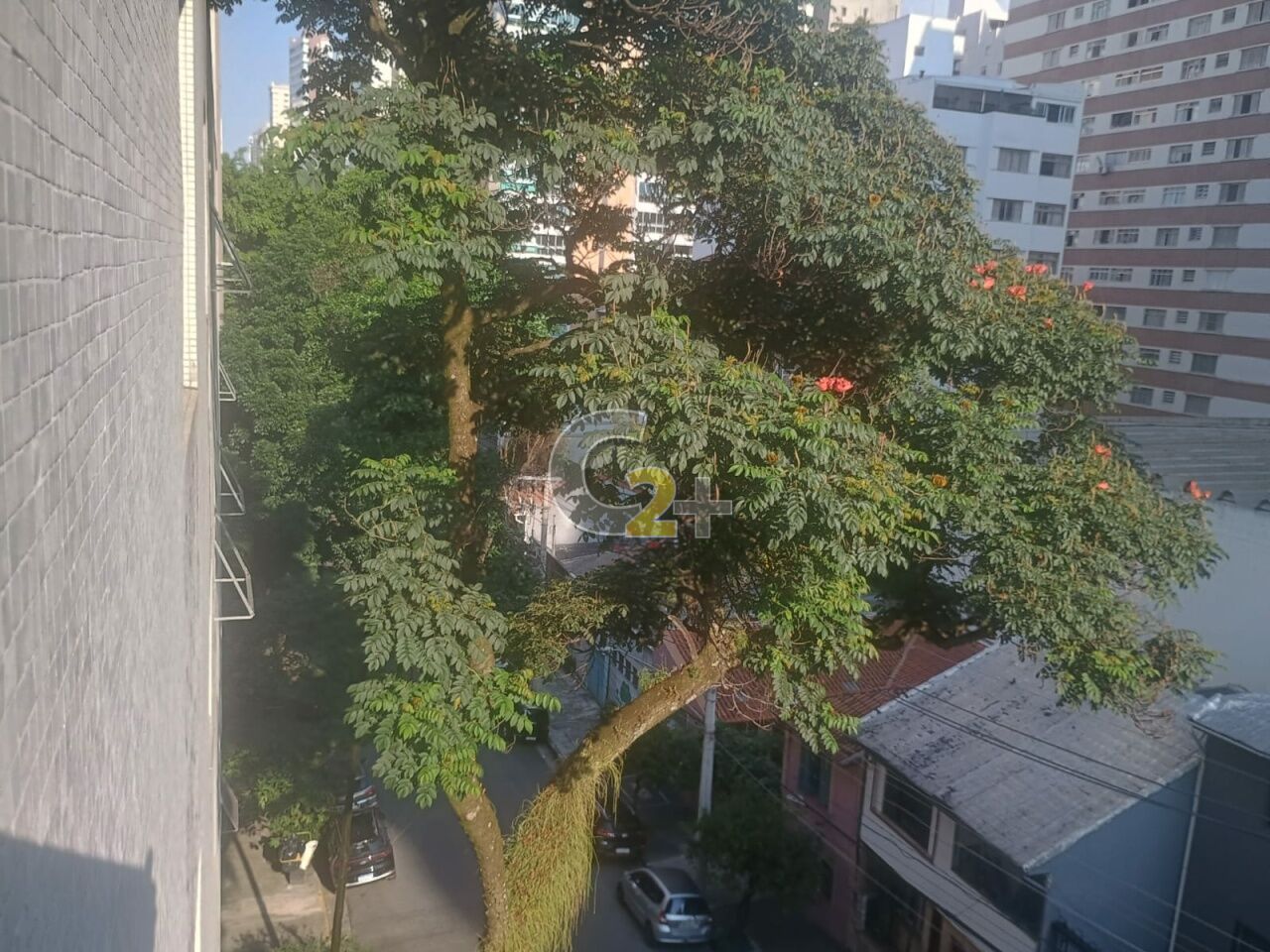 Foto 25 - CC64877