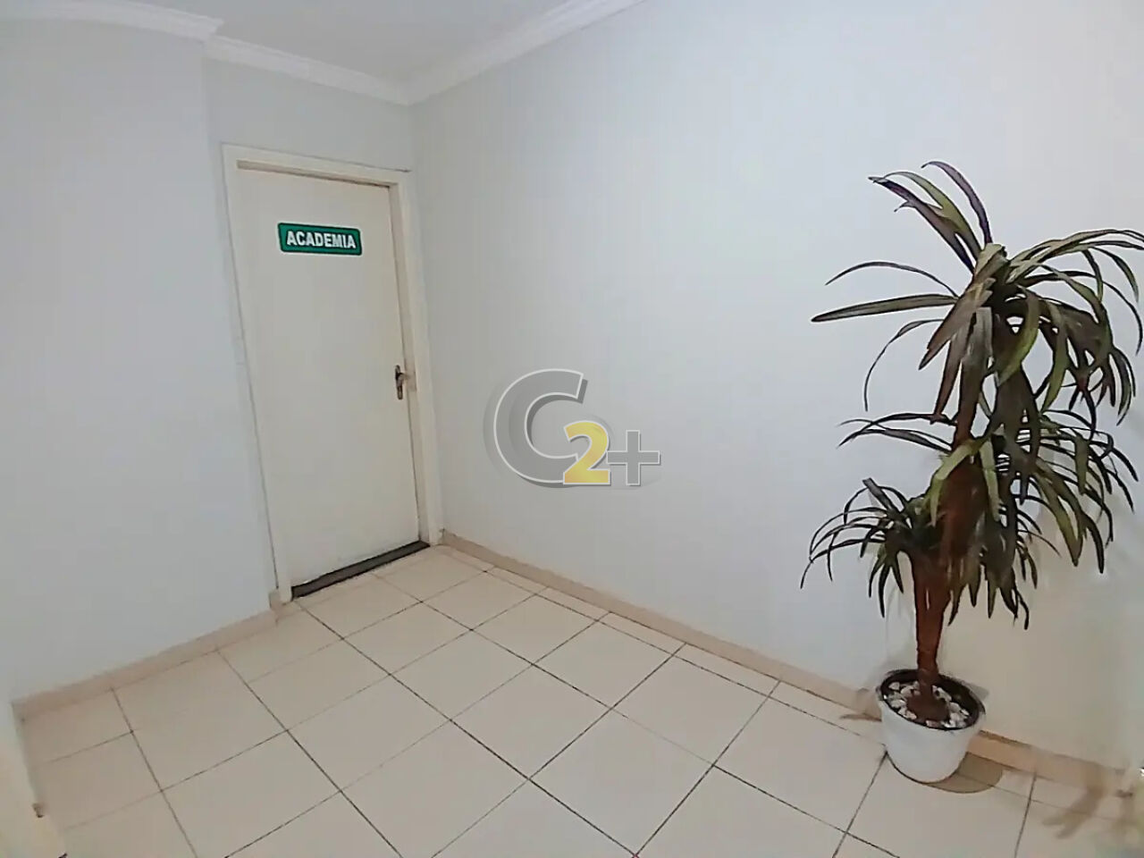 Foto 15 - CC64951