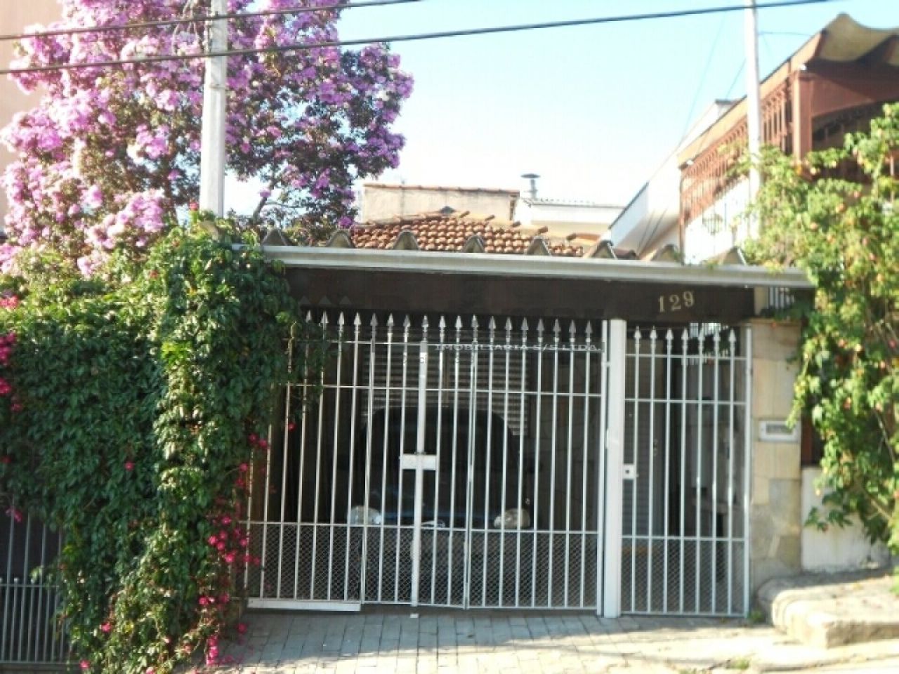 Casa Térrea para Locação - Vila São LuísZona Oeste