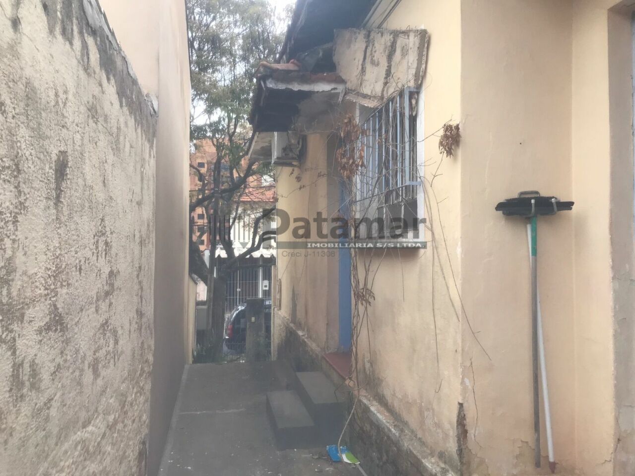 Casa Térrea para Venda - Vila Sônia