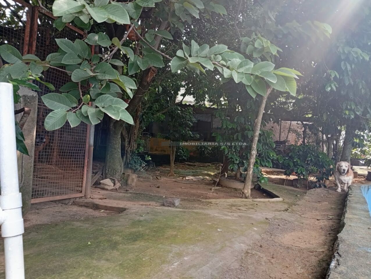 Terreno para Venda - Jardim Pinheiros