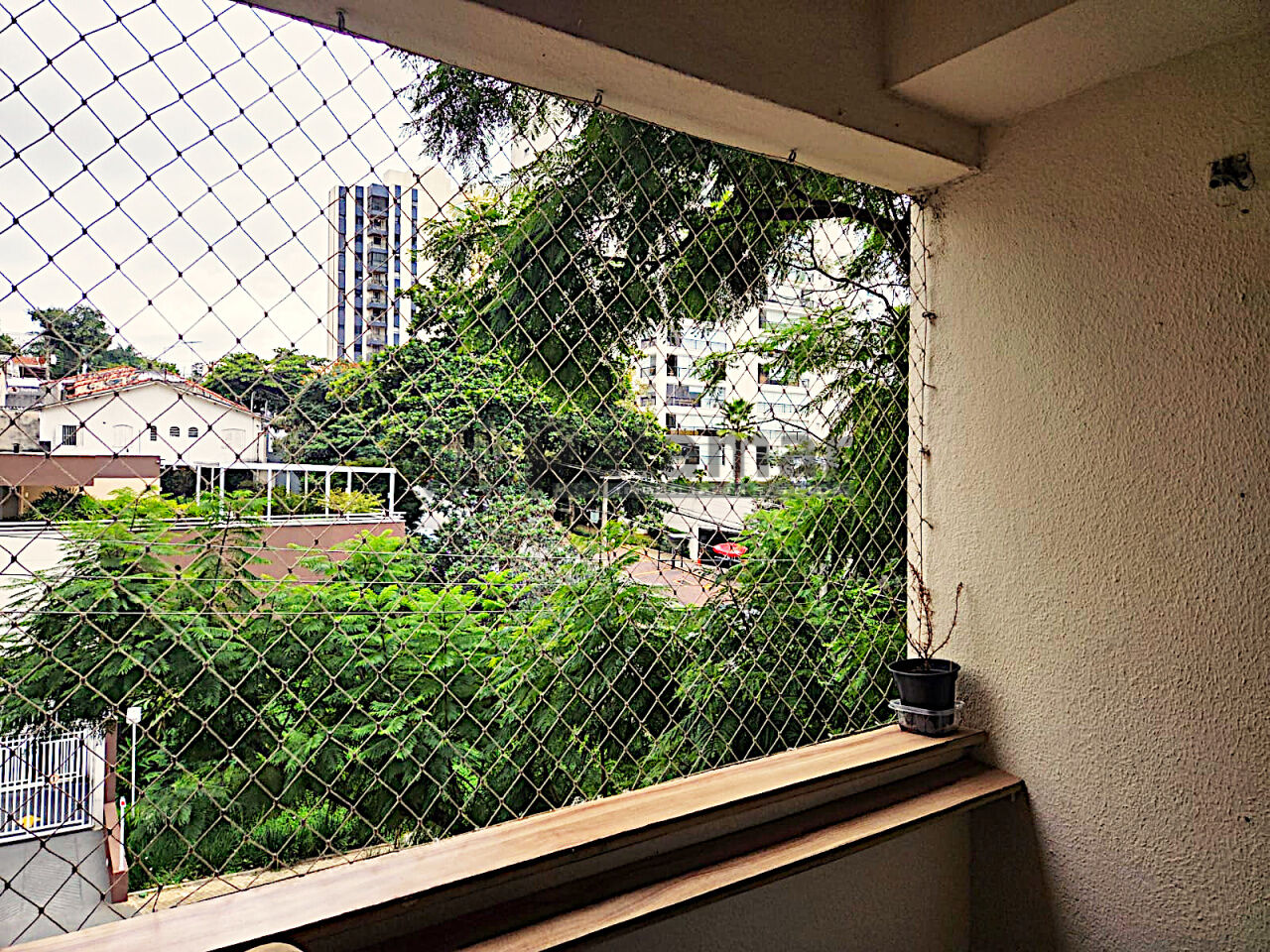 Apartamento para Venda - Vila Mascote