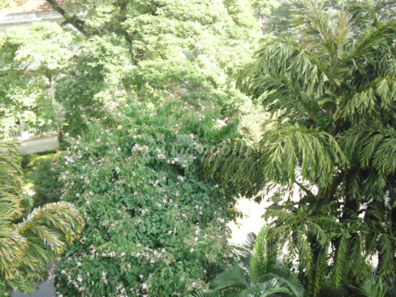 imagem de destaque-imovel 