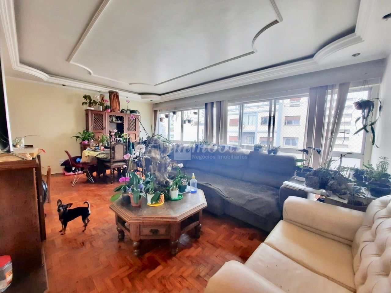 Apartamento para Vend - SANTA CECÍLIA