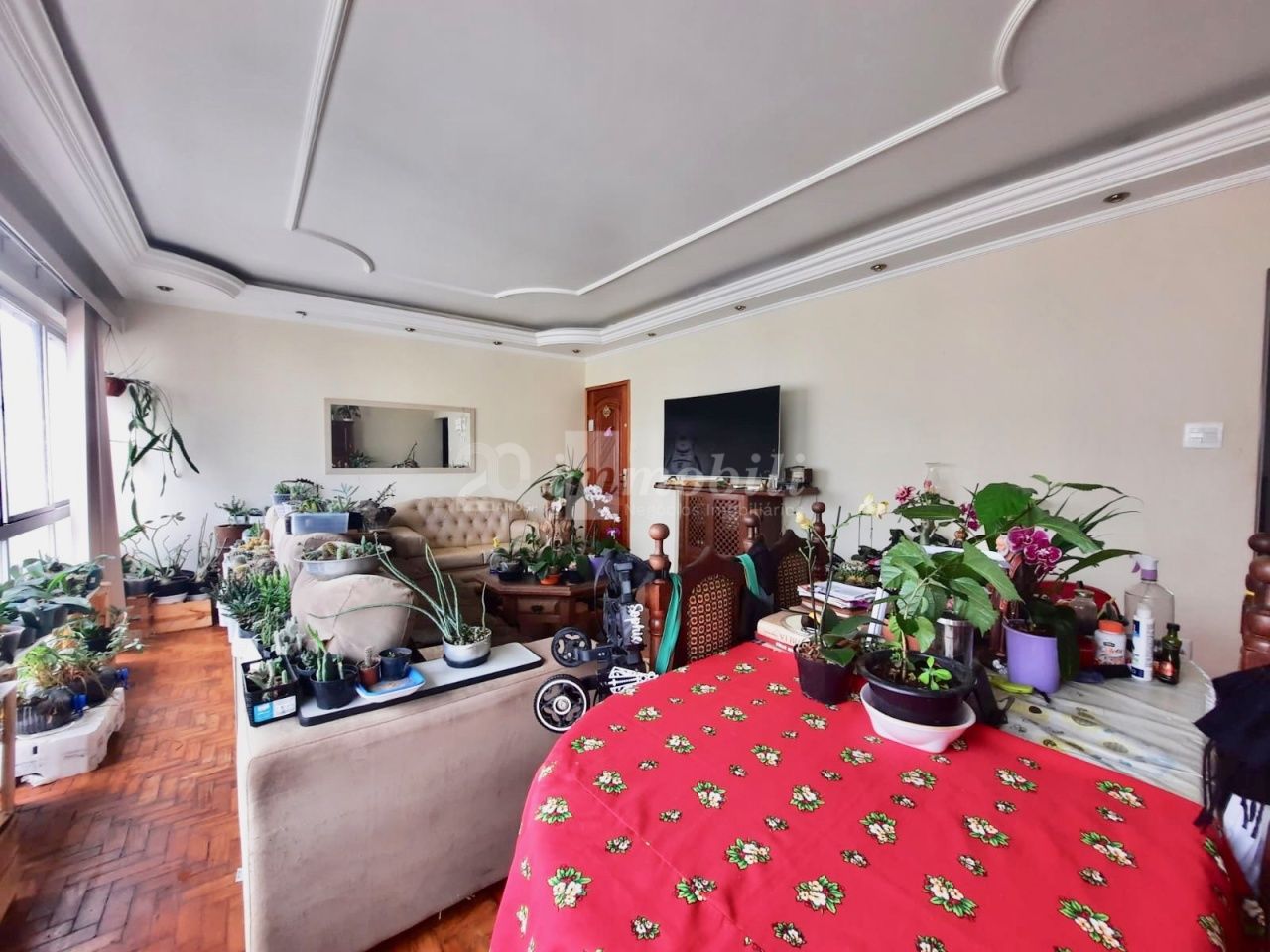 imagem de destaque-imovel 