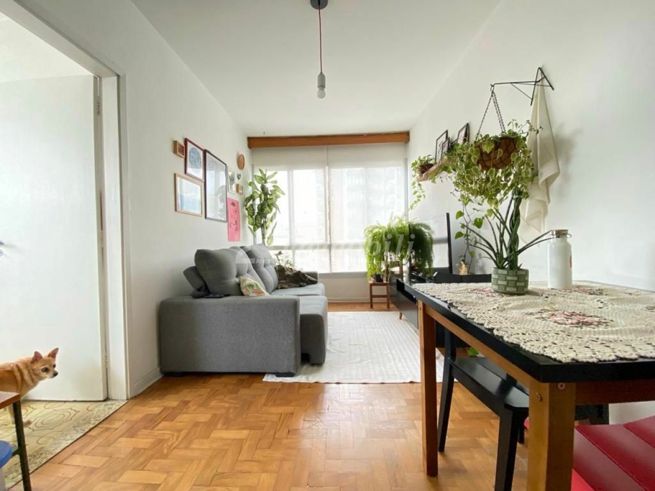 imagem de destaque-imovel 