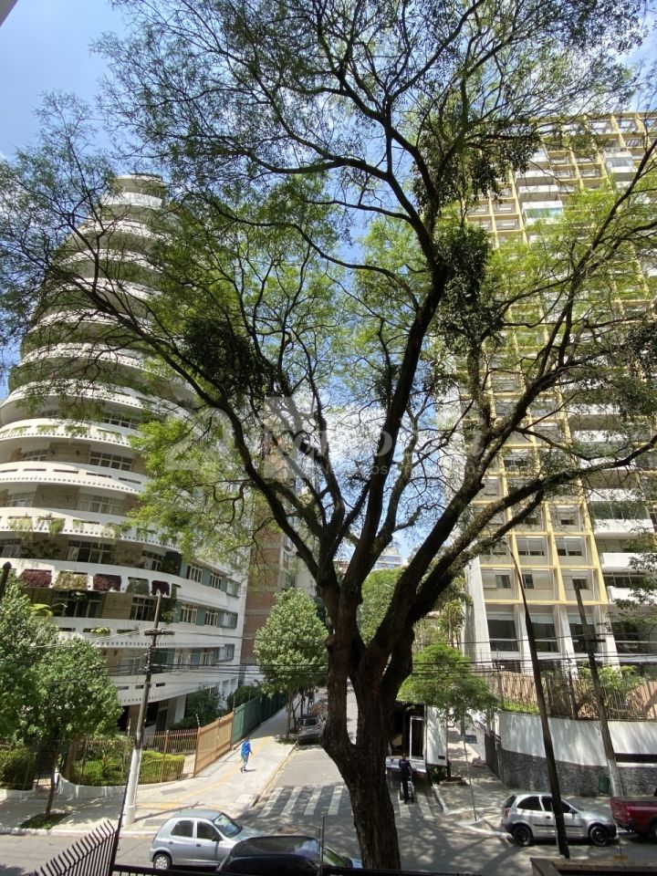 imagem de destaque-imovel 