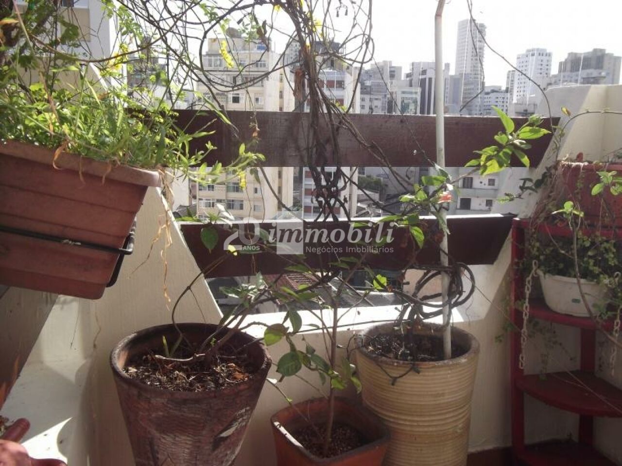 Cobertura para Venda - HIGIENOPOLIS