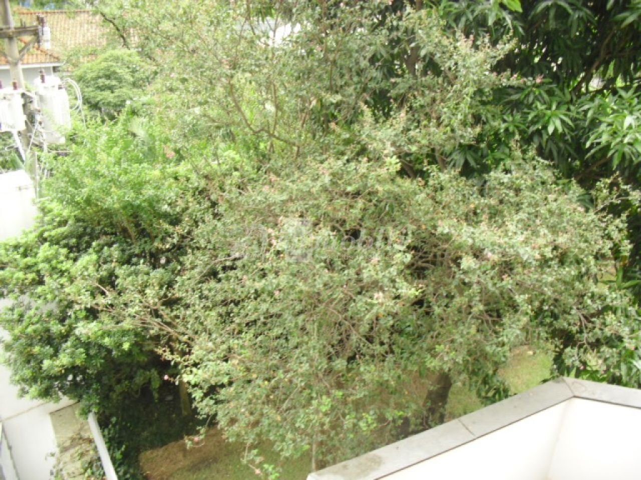 imagem de destaque-imovel 