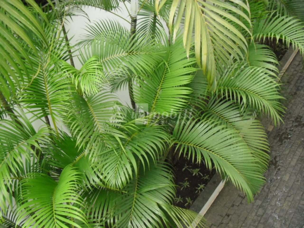 imagem de destaque-imovel 