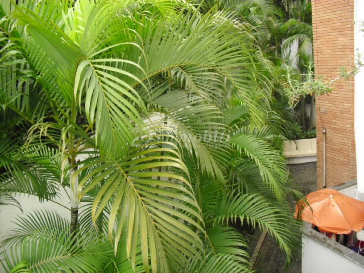 imagem de destaque-imovel 