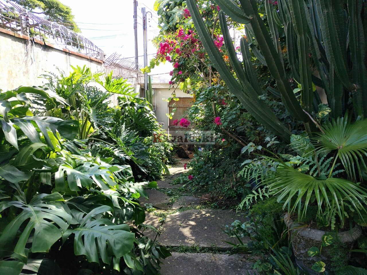 Terreno para Venda - JARDIM PREVIDÊNCIA