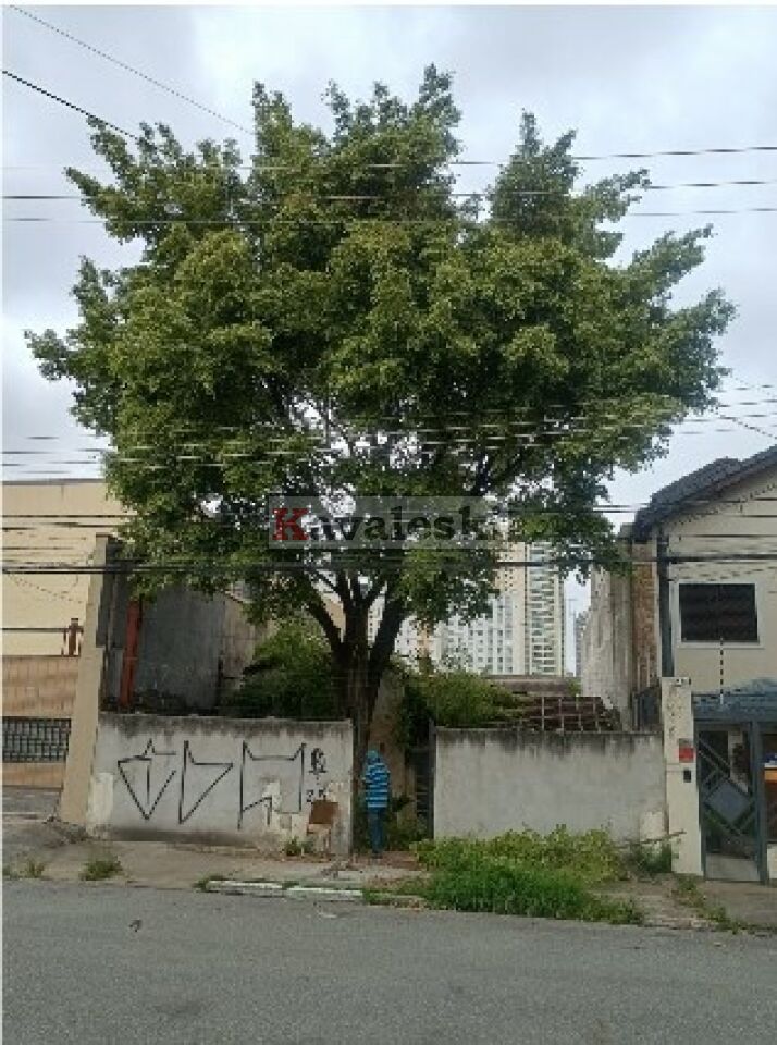 Terreno para Venda - BOSQUE DA SAÚDE