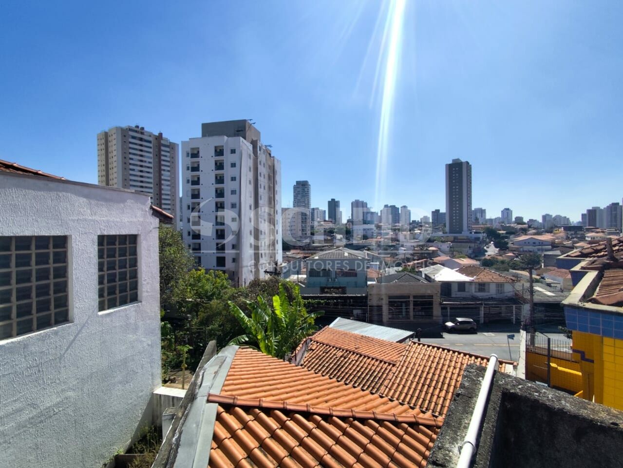 Foto 41