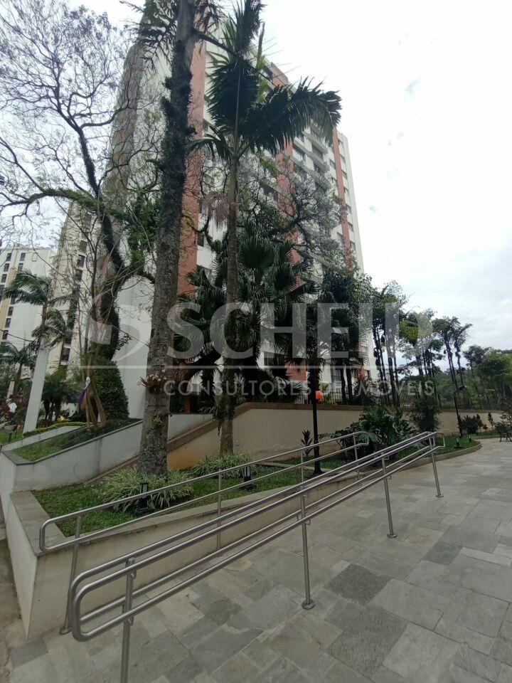 Foto 48