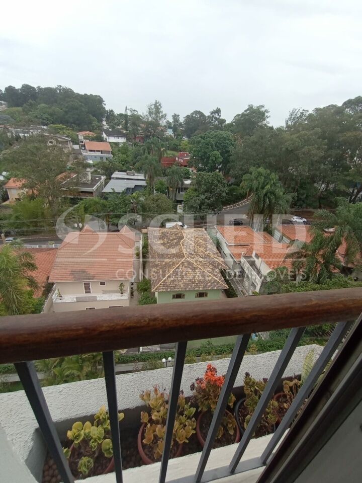 Foto 42
