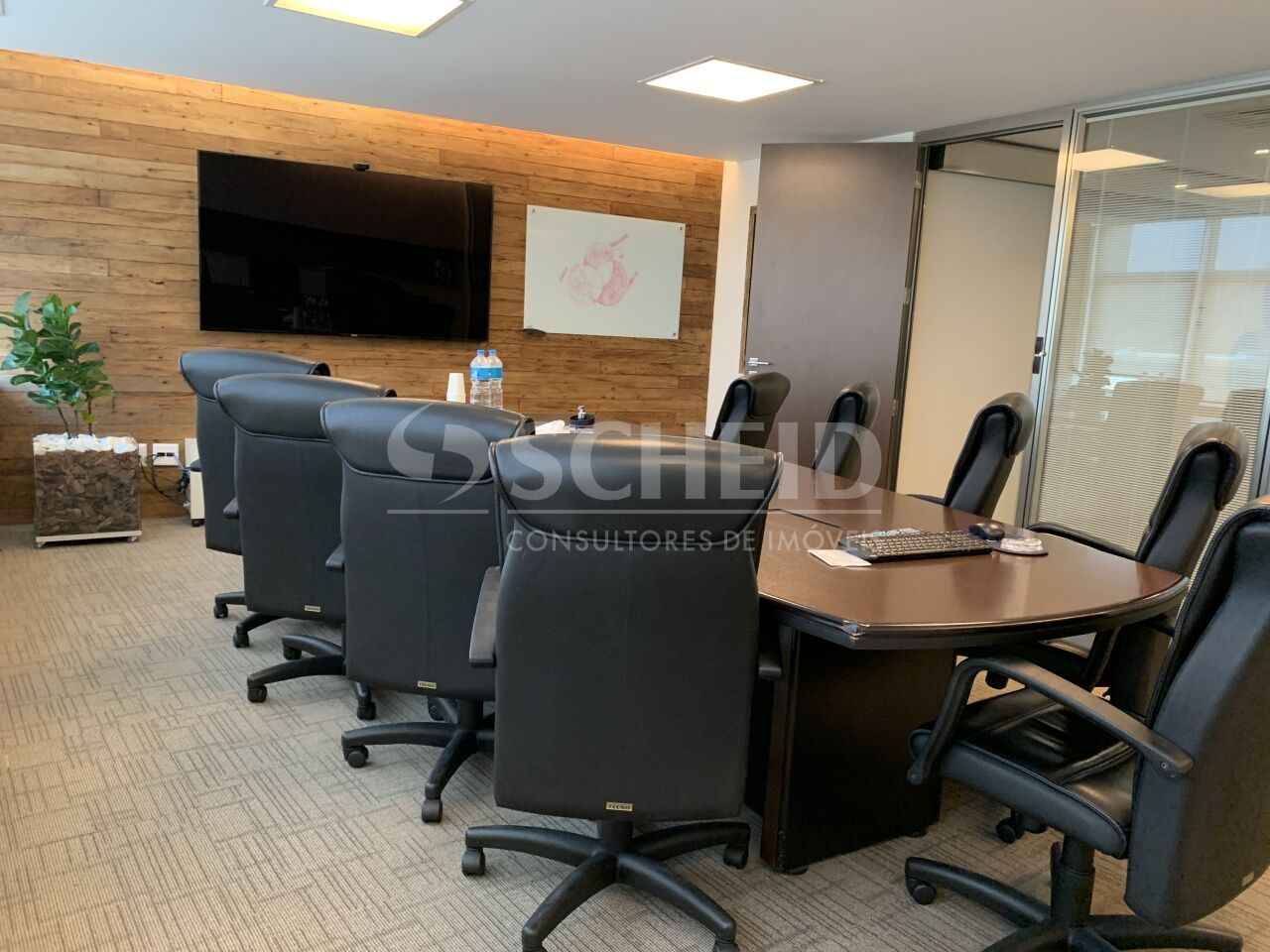 Foto 19