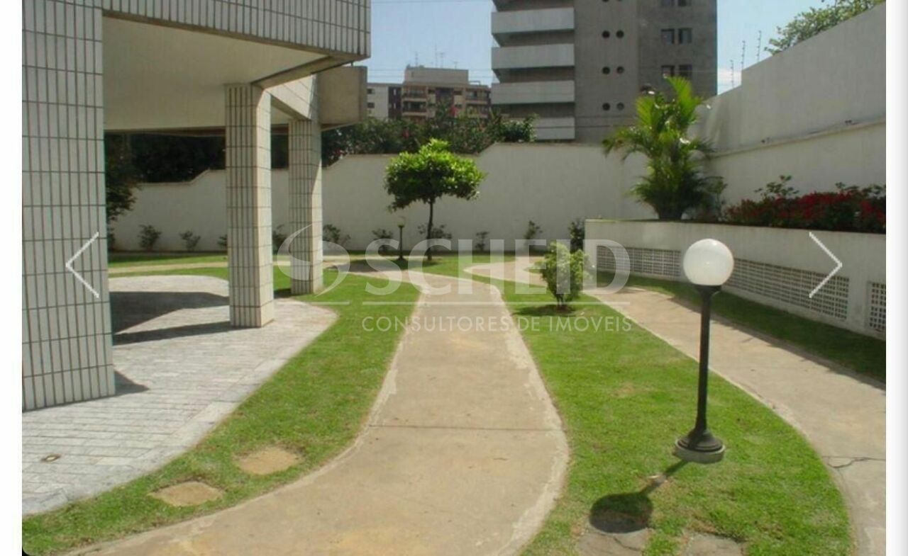Foto 41