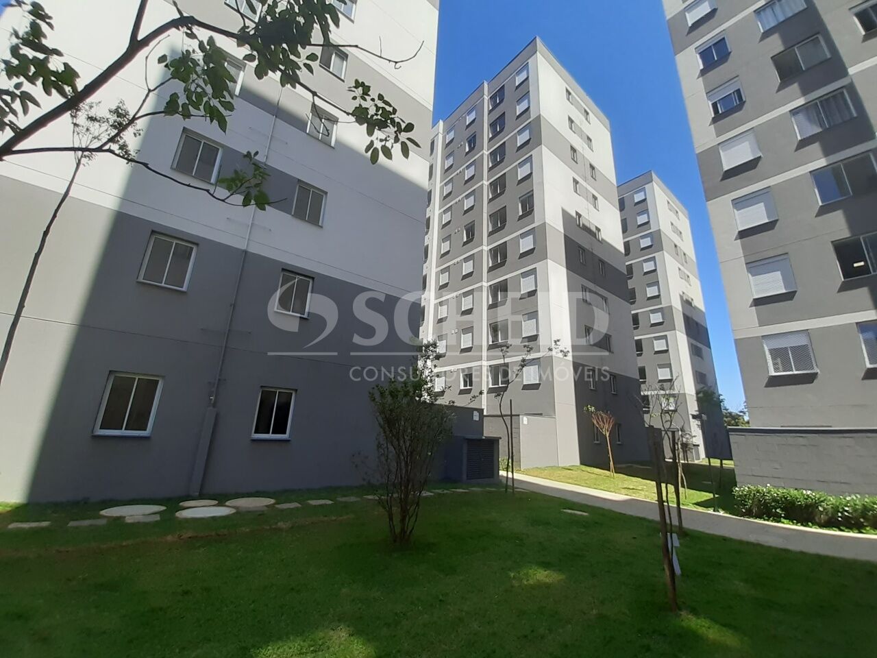 Foto 19