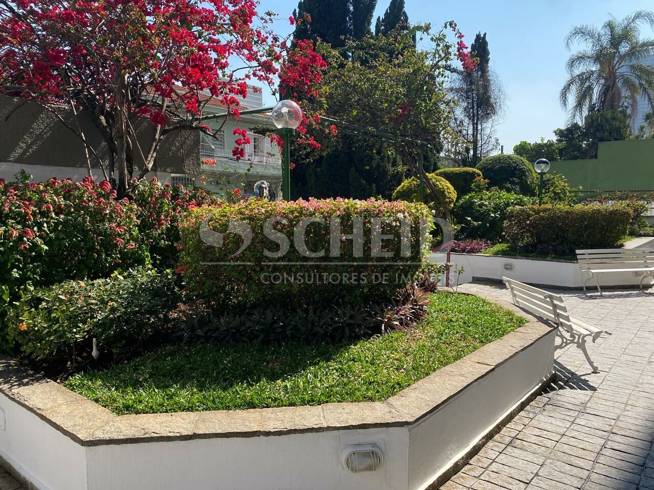 Foto 11