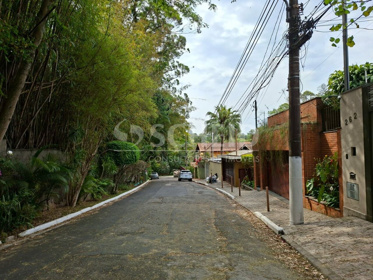 Foto 31