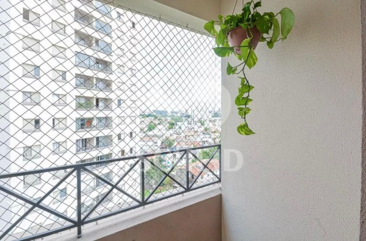 Foto 21