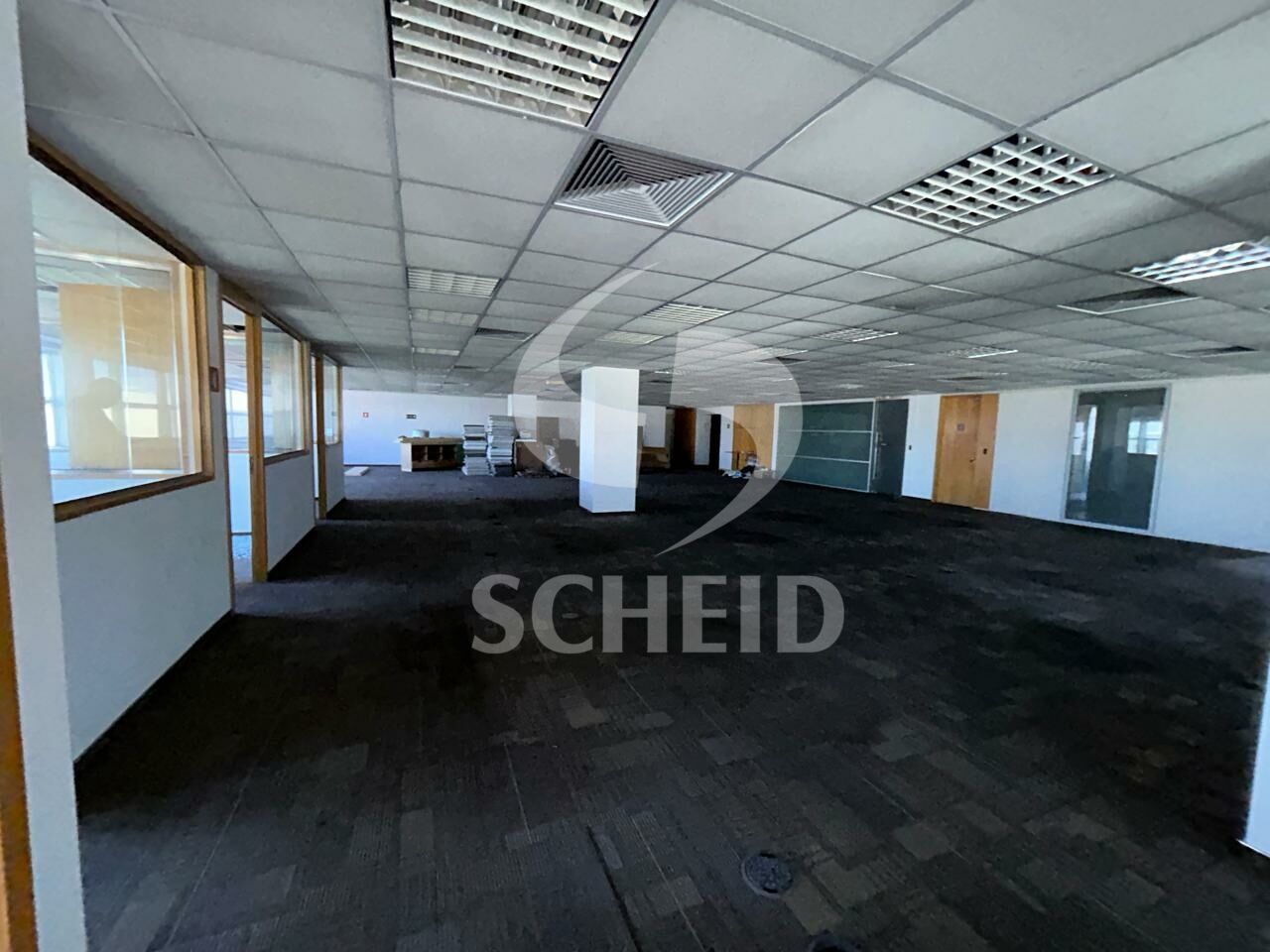 Foto 19