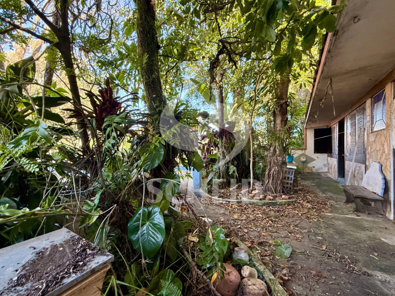 Foto 41