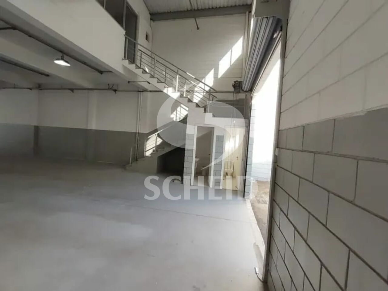Foto 7