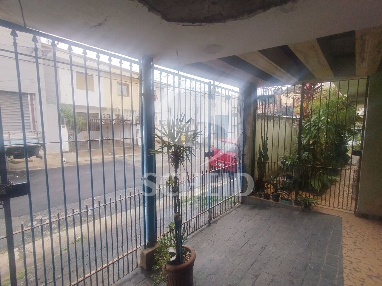 Foto 6