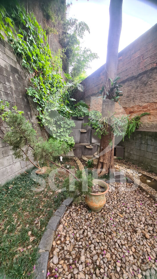 Foto 21