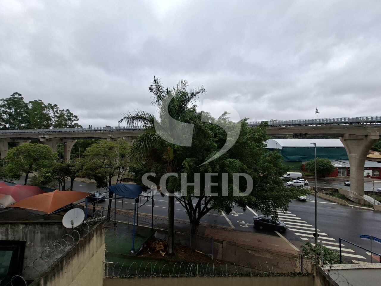 Foto 19