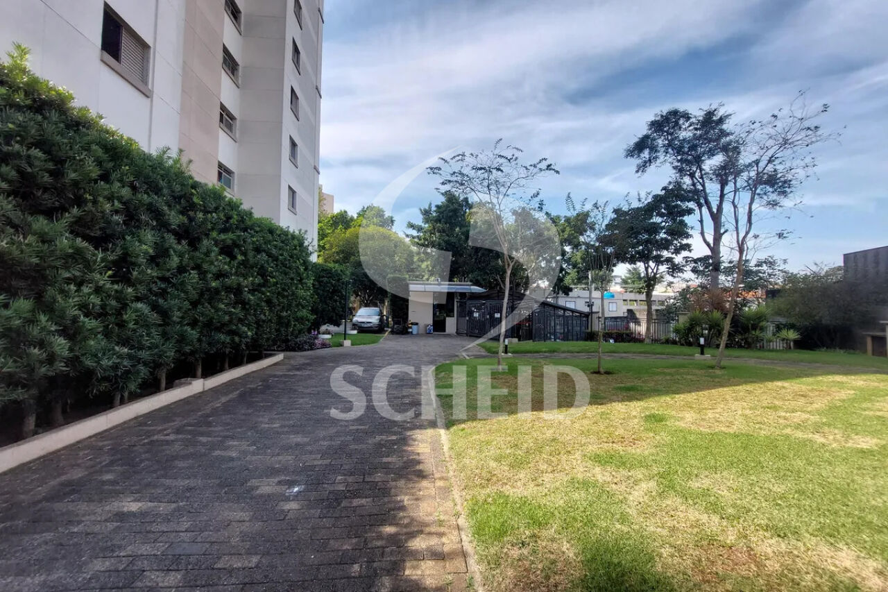 Foto 41