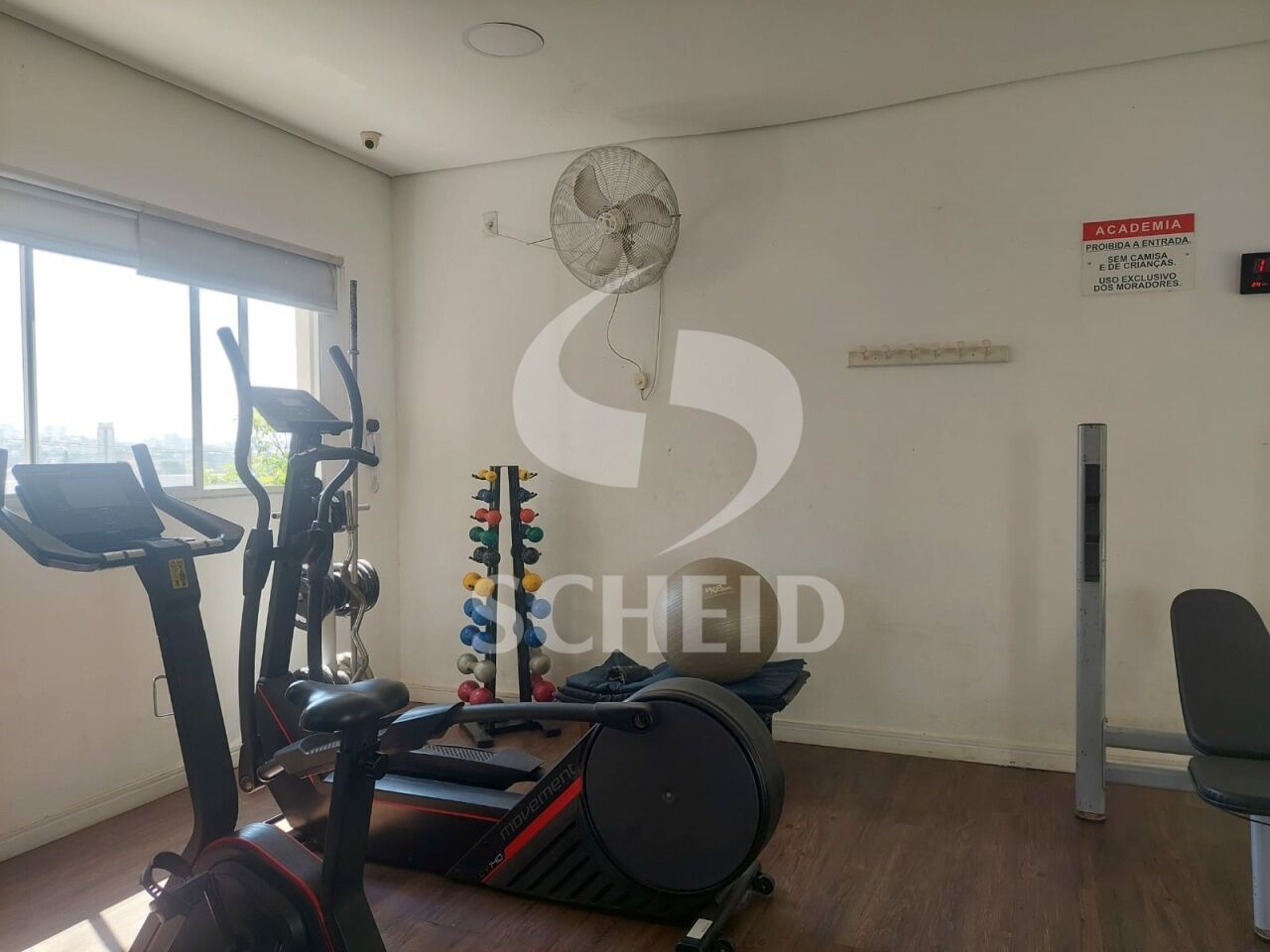 Foto 20