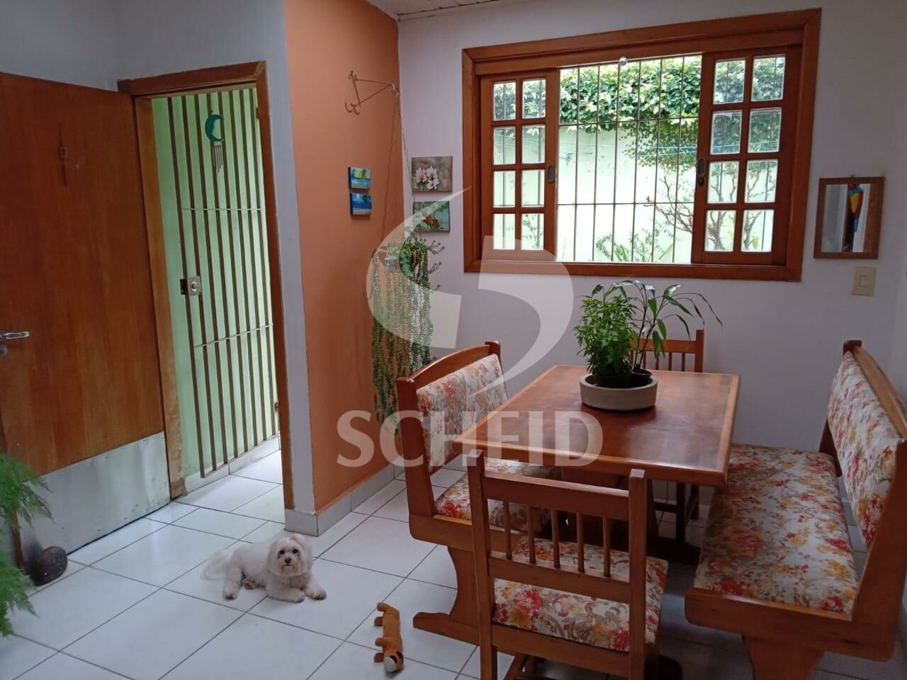 Foto 12