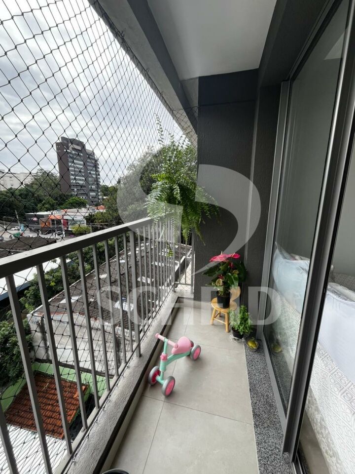 Foto 1
