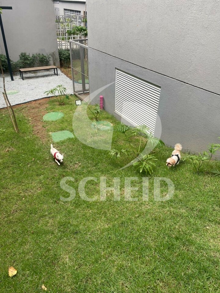 Foto 9