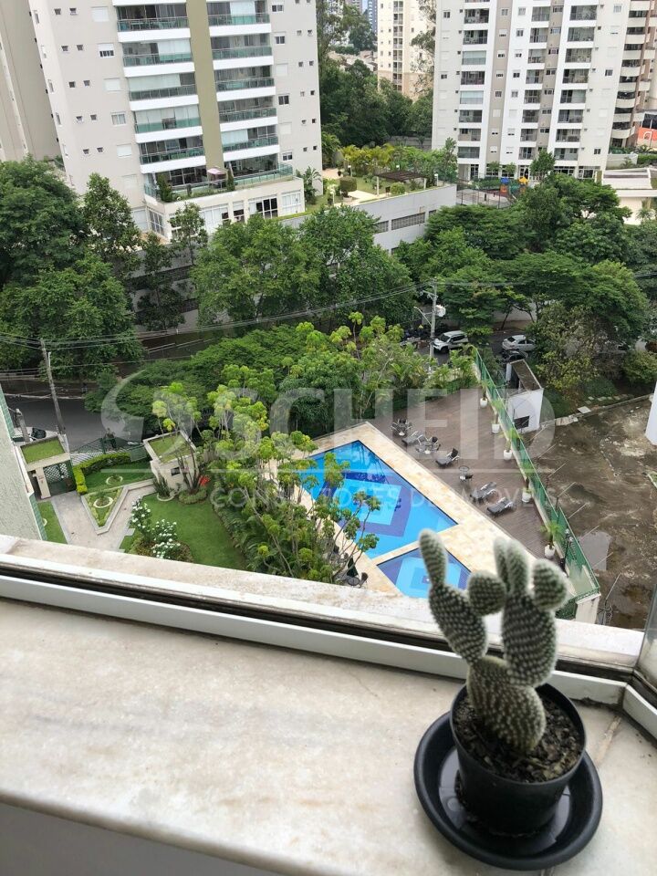Foto 19