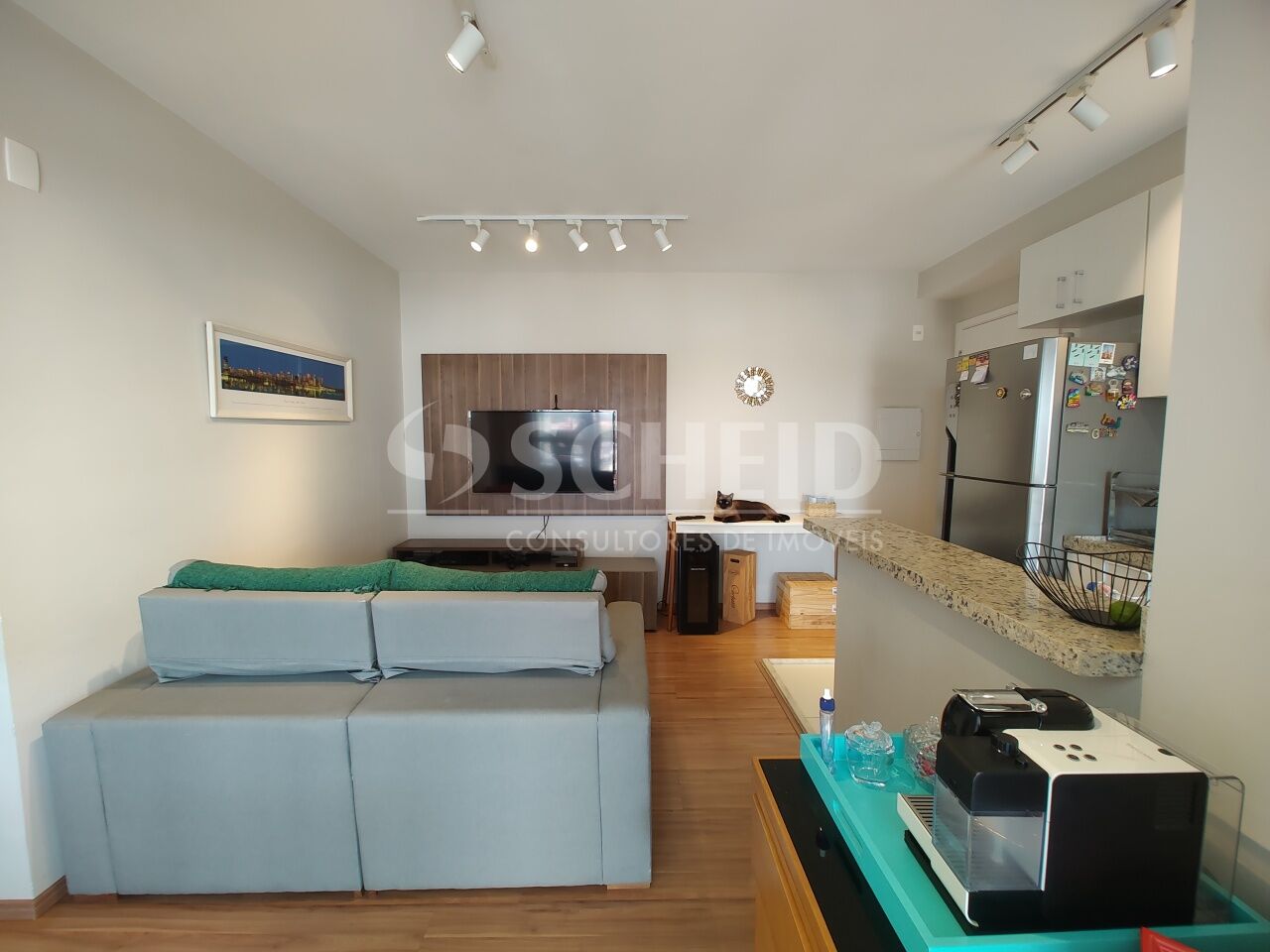 Foto 7
