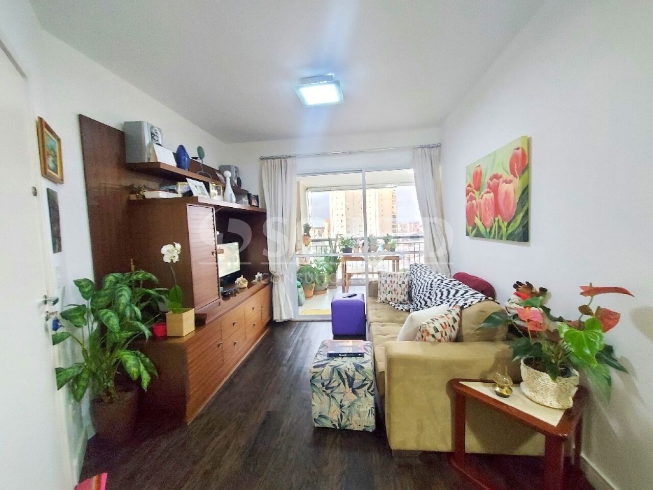 Foto 7