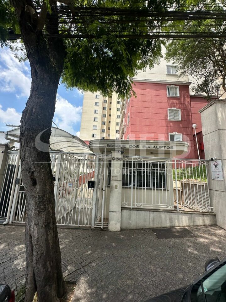 Foto 45