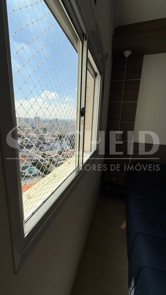 Foto 41