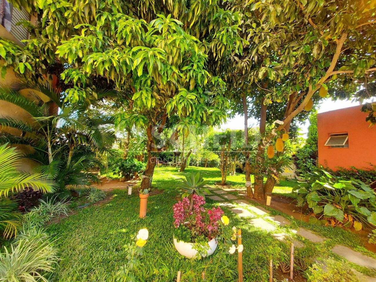 Foto 13